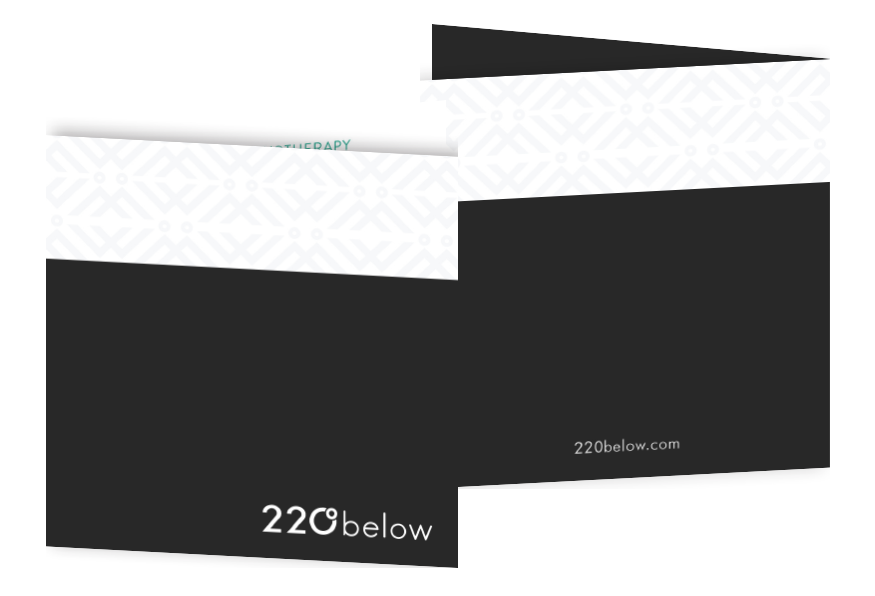 220 below branded brochure